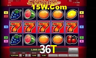 Casino Ao Vivo 36T